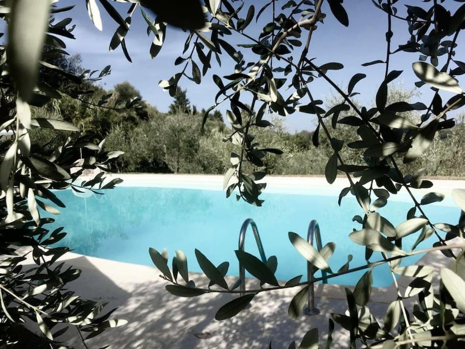 Podere San Giorgio Palaia Eksteriør bilde